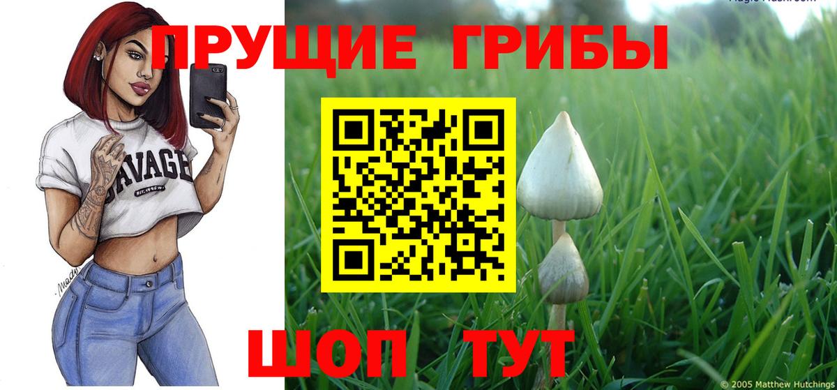 Псилоцибиновые грибы мухоморы Кандалакша